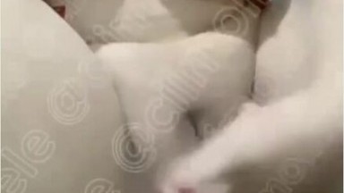 Konten Cimolla Versi Omek Memek Tembem Biasa Aja Kan