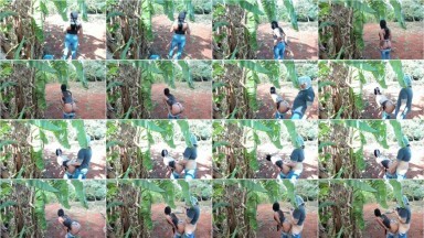 Bokep Indo Dibawah Pohon Pisang - Bokeplah