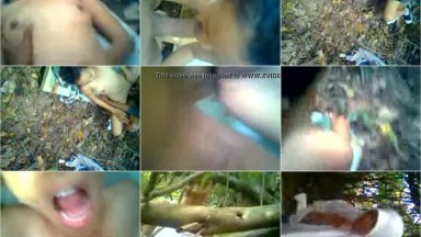 Bokep Sma Jilbab Ngentot Di Hutan - Bokep Indo